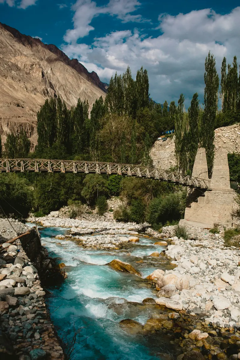 Panoramic view of Kashmir Valley with lush green meadows and wildflowers