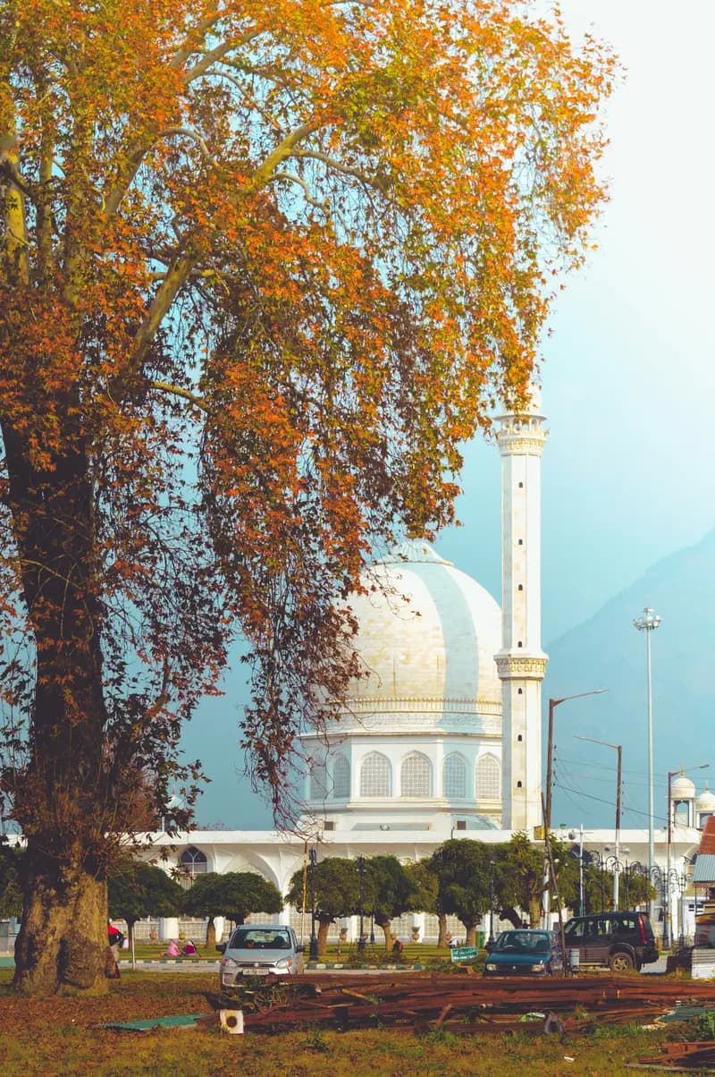 Kashmir Heritage